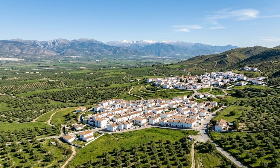 Paisaje de Güevéjar, Nívar y los olivares de Granada